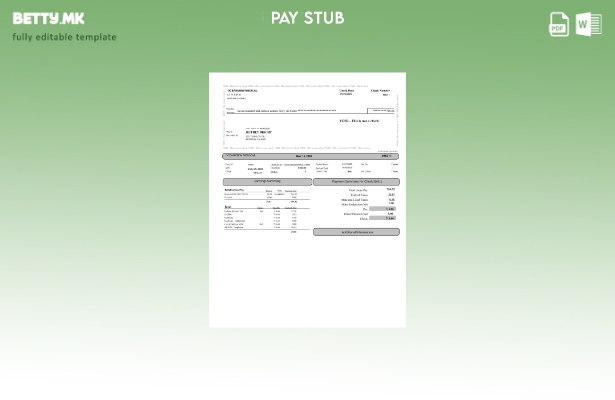 Шаблон Oceanview Medical Paystub во модерен стил